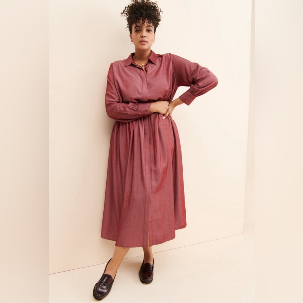NWOT Anthropologie dress / Standards & Practices Button Down Dress